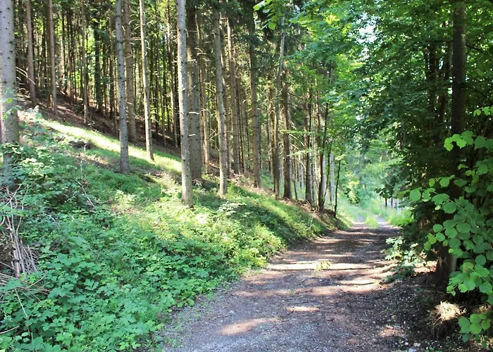 Apartment In Koettmannsdorf Near Bathing Lake