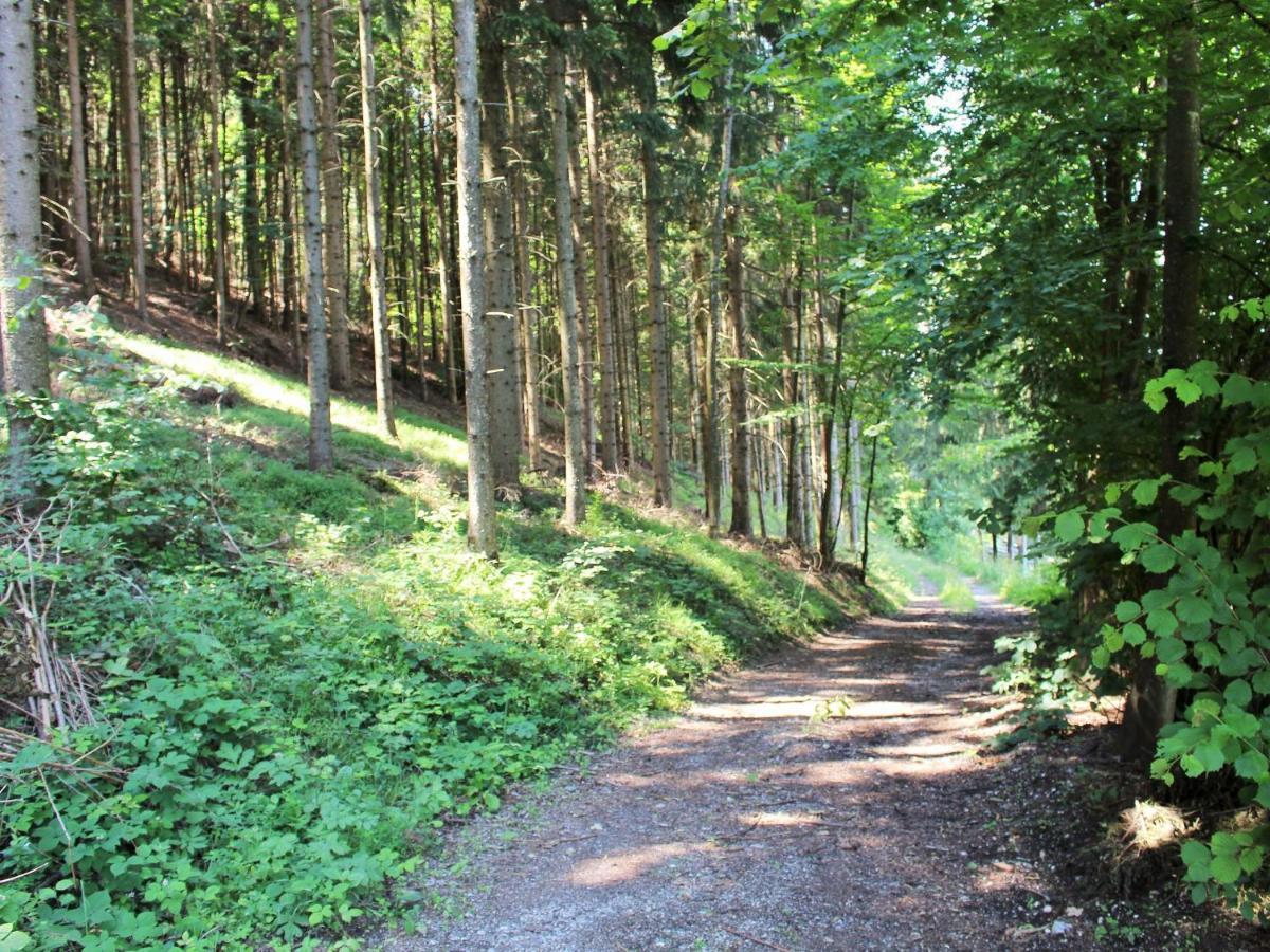 Apartment In Koettmannsdorf Near Bathing *