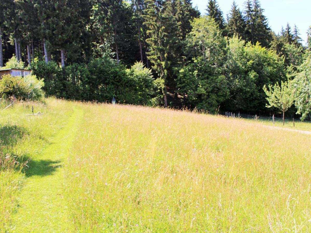 In Koettmannsdorf Near Bathing Apartment *