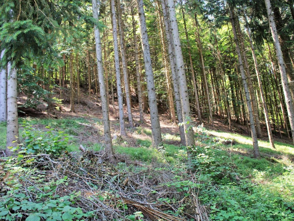 In Koettmannsdorf Near Bathing Apartment Wurdach